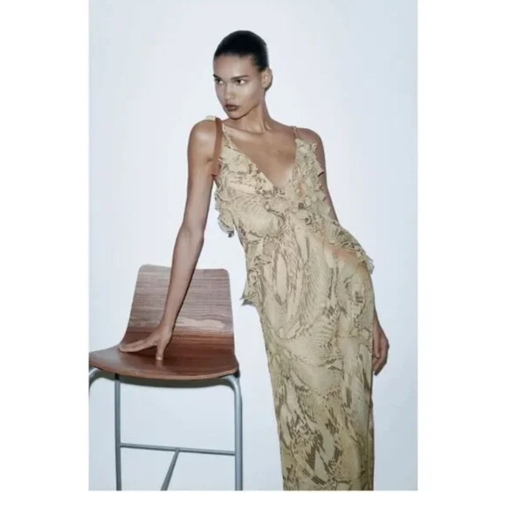 Zara Snake Print Maxi Dress